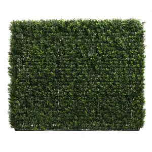 Boxwood Hedge 75x100cm by OneWorld Collection, a Plants for sale on Style Sourcebook