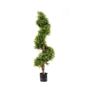 Boxwood Spiral Tree Budget 1.4m by OneWorld Collection, a Plants for sale on Style Sourcebook