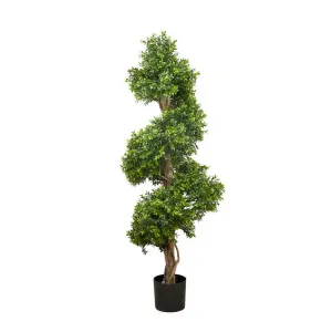 Boxwood Spiral Tree 1.5m by OneWorld Collection, a Plants for sale on Style Sourcebook