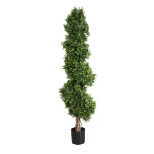 Boxwood Spiral Tree 1.9m by OneWorld Collection, a Plants for sale on Style Sourcebook
