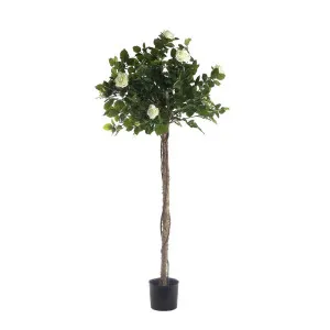 Rose Topiary Light White 1.4m by OneWorld Collection, a Plants for sale on Style Sourcebook