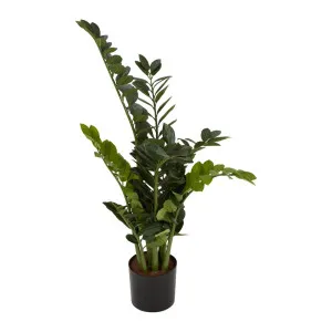 Smargago Plant 1.1m by OneWorld Collection, a Plants for sale on Style Sourcebook