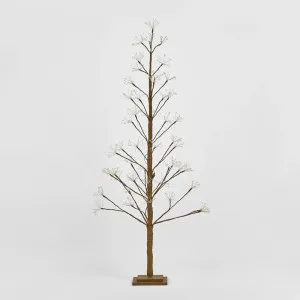 Nature Brown Starry Tree 150cm With 720LED by OneWorld Collection, a Christmas for sale on Style Sourcebook
