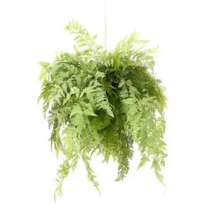 Fern Hanging 75cm by OneWorld Collection, a Plants for sale on Style Sourcebook