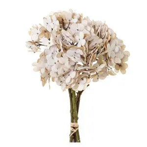 Hydrangea Bundle Dry Look 30cm Beige by OneWorld Collection, a Plants for sale on Style Sourcebook