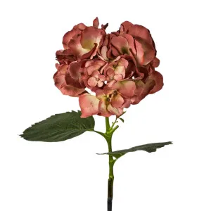 Hydrangea Large Stem With Leaves 75cm by OneWorld Collection, a Plants for sale on Style Sourcebook