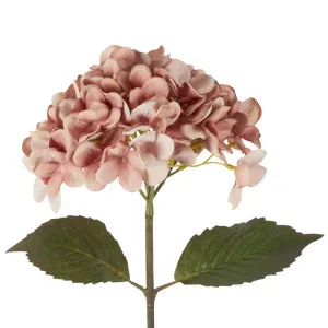 Dried Look Hydrangea Stem 48cm Blush by OneWorld Collection, a Plants for sale on Style Sourcebook
