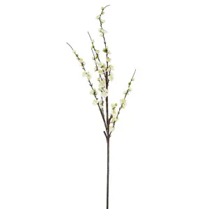 Japonica Blossom Stem 120cm White by OneWorld Collection, a Plants for sale on Style Sourcebook