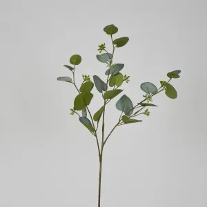 71cm Grey Green Eucalyptus with Seed by OneWorld Collection, a Plants for sale on Style Sourcebook