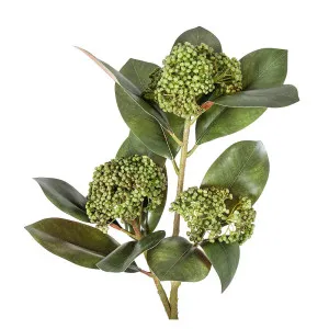 Magnolia Berry Spray 80cm Green by OneWorld Collection, a Plants for sale on Style Sourcebook