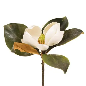 Magnolia Short Stem 60cm White by OneWorld Collection, a Plants for sale on Style Sourcebook