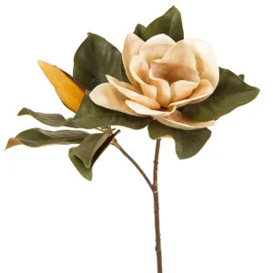 Magnolia Flower 72cm Coffee by OneWorld Collection, a Plants for sale on Style Sourcebook