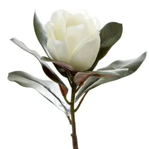 Magnolia Single Head 70cm White by OneWorld Collection, a Plants for sale on Style Sourcebook