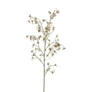 Dancing Orchid 93cm White by OneWorld Collection, a Plants for sale on Style Sourcebook
