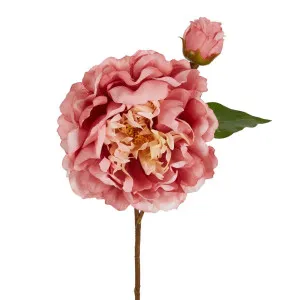 Peony Stem 61cm Pink by OneWorld Collection, a Plants for sale on Style Sourcebook