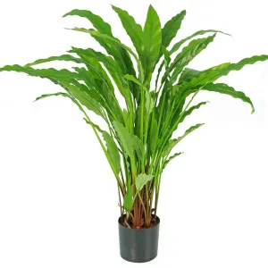 Calathea Potted Bush by OneWorld Collection, a Plants for sale on Style Sourcebook