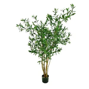 Olive Tree 120cm by OneWorld Collection, a Plants for sale on Style Sourcebook