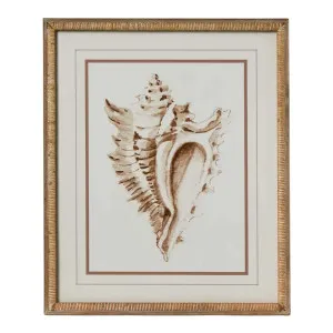 Conch Shell Wall Art A by OneWorld Collection, a Artwork & Wall Decor for sale on Style Sourcebook