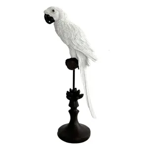 Alexa Parrot Sculpture White by OneWorld Collection, a Statues & Ornaments for sale on Style Sourcebook