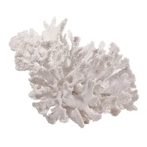 Rottnest Coral Sculpture White by OneWorld Collection, a Statues & Ornaments for sale on Style Sourcebook