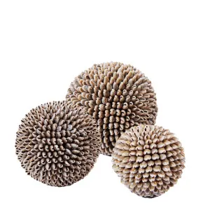 Ocean Shell Balls Set of 3 by OneWorld Collection, a Decor for sale on Style Sourcebook