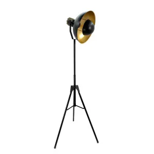 Quentin Black and Gold Focus Lamp - Base Only by OneWorld Collection, a Table & Bedside Lamps for sale on Style Sourcebook