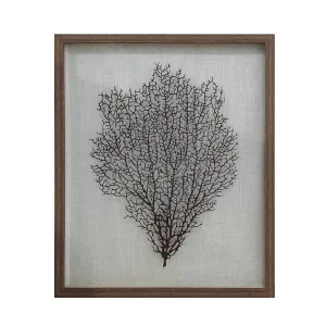 Airlie Coral Wall Art Natural by OneWorld Collection, a Artwork & Wall Decor for sale on Style Sourcebook