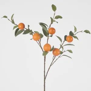 Orange Branch Spray x 6 Oranges with Leaves 104CM by Florabelle Living, a Plants for sale on Style Sourcebook
