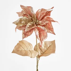 Poinsettia by Florabelle Living, a Plants for sale on Style Sourcebook