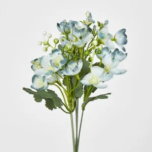 Blossom by Florabelle Living, a Plants for sale on Style Sourcebook