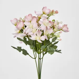 Blossom by Florabelle Living, a Plants for sale on Style Sourcebook