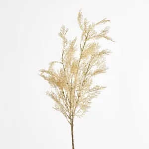 Pampas by Florabelle Living, a Plants for sale on Style Sourcebook