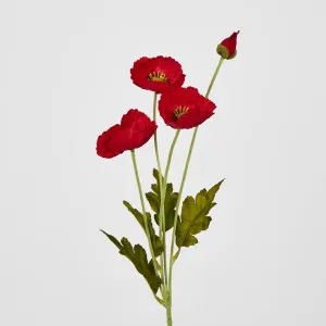 Red Poppy Spray 3 Flowers 1 bud by Florabelle Living, a Plants for sale on Style Sourcebook
