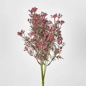 Santa Maria Bush with Pink Purple Flowers by Florabelle Living, a Plants for sale on Style Sourcebook