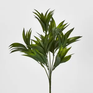 Green Pine Leaf Spray by Florabelle Living, a Plants for sale on Style Sourcebook
