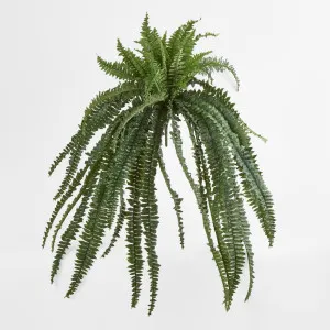 Huge Green Boston Fern Bush 52 leaves by Florabelle Living, a Plants for sale on Style Sourcebook