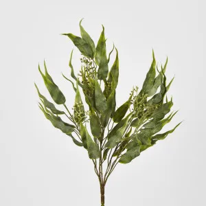 Eucalyptus Leaf Bush by Florabelle Living, a Plants for sale on Style Sourcebook