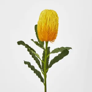 Yellow Gold Banksia Stem by Florabelle Living, a Plants for sale on Style Sourcebook