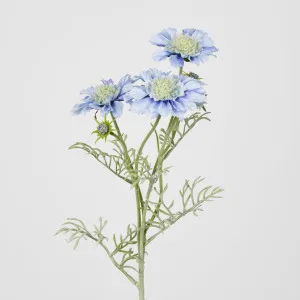 Light Blue Scabiosa 3 Flowers and 2 Buds by Florabelle Living, a Plants for sale on Style Sourcebook