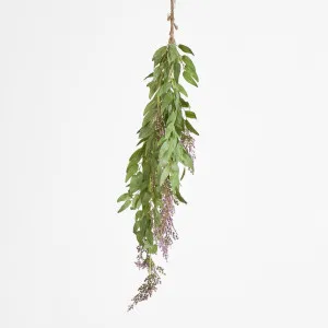 Hanging flat leaf variagated by Florabelle Living, a Plants for sale on Style Sourcebook