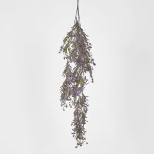 Hanging variagated grape leaf by Florabelle Living, a Plants for sale on Style Sourcebook