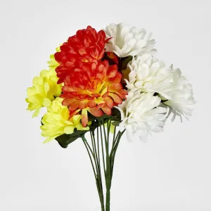 Chrysanthemum Bush Sold in Box Qty Only by Florabelle Living, a Plants for sale on Style Sourcebook