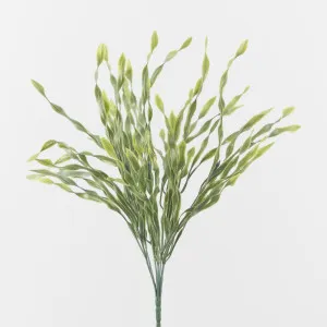 Wavy Vanilla Grass by Florabelle Living, a Plants for sale on Style Sourcebook