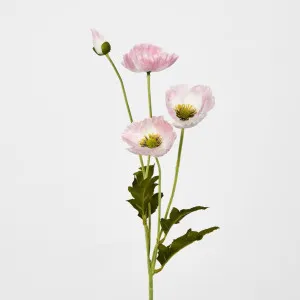 Pink Poppy Spray 3 Flowers 1 bud by Florabelle Living, a Plants for sale on Style Sourcebook