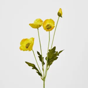 Yellow Poppy Spray 3 Flowers 1 bud by Florabelle Living, a Plants for sale on Style Sourcebook
