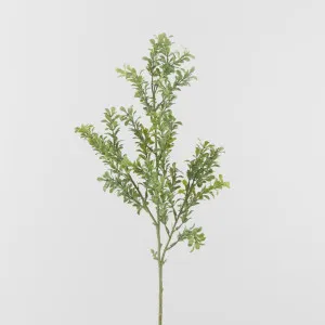 Light Green Boxwood leaf Spray by Florabelle Living, a Plants for sale on Style Sourcebook