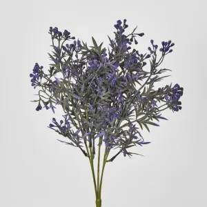 Santa Maria Bush with Purple Flowers by Florabelle Living, a Plants for sale on Style Sourcebook