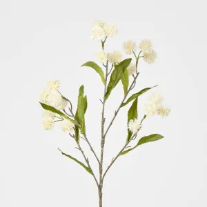 White Burdock Spray by Florabelle Living, a Plants for sale on Style Sourcebook