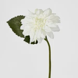 Dahlia 28cm white by Florabelle Living, a Plants for sale on Style Sourcebook