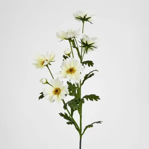 White Cosmos Spray by 3 by Florabelle Living, a Plants for sale on Style Sourcebook